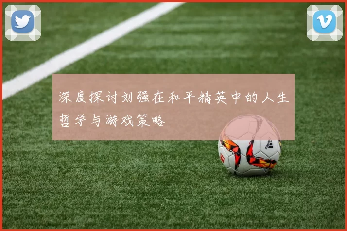 深度探讨刘强在和平精英中的人生哲学与游戏策略