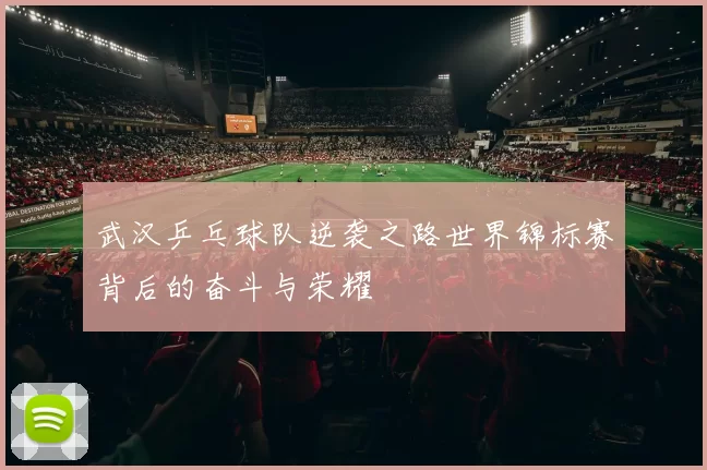 武汉乒乓球队逆袭之路世界锦标赛背后的奋斗与荣耀
