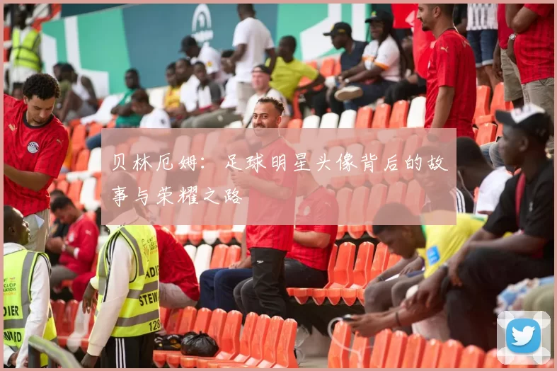 贝林厄姆：足球明星头像背后的故事与荣耀之路