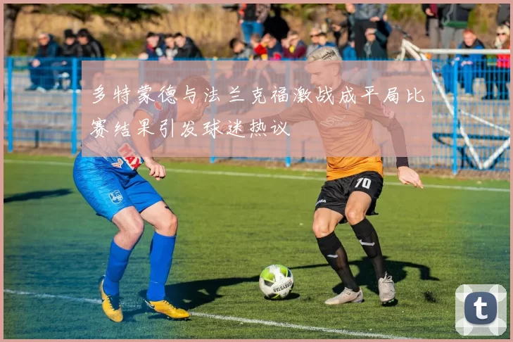 多特蒙德与法兰克福激战成平局比赛结果引发球迷热议