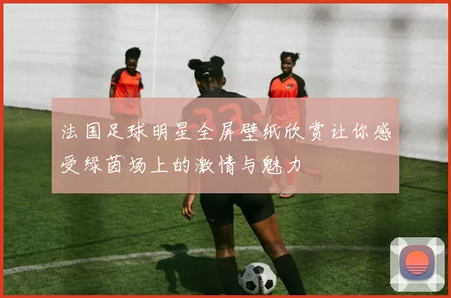 法国足球明星全屏壁纸欣赏让你感受绿茵场上的激情与魅力