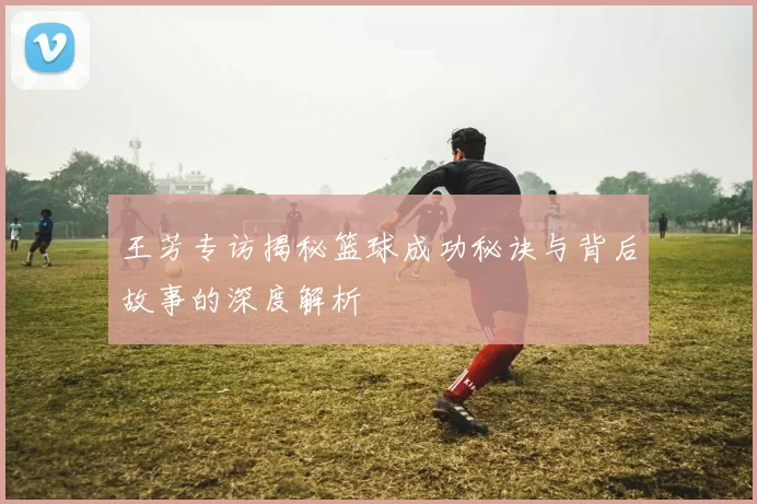 王芳专访揭秘篮球成功秘诀与背后故事的深度解析