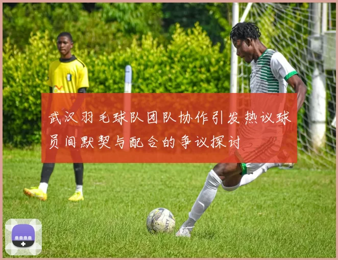 武汉羽毛球队团队协作引发热议球员间默契与配合的争议探讨