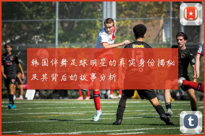 韩国伴舞足球明星的真实身份揭秘及其背后的故事分析
