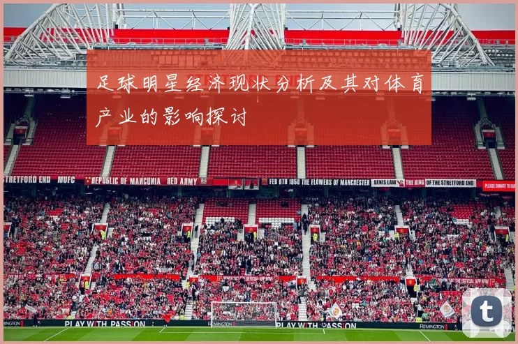 足球明星经济现状分析及其对体育产业的影响探讨