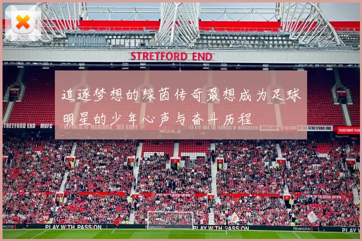 追逐梦想的绿茵传奇最想成为足球明星的少年心声与奋斗历程