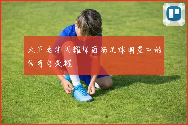大卫名字闪耀绿茵场足球明星中的传奇与荣耀