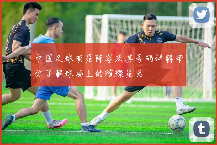 中国足球明星阵容及其号码详解带你了解球场上的璀璨星光