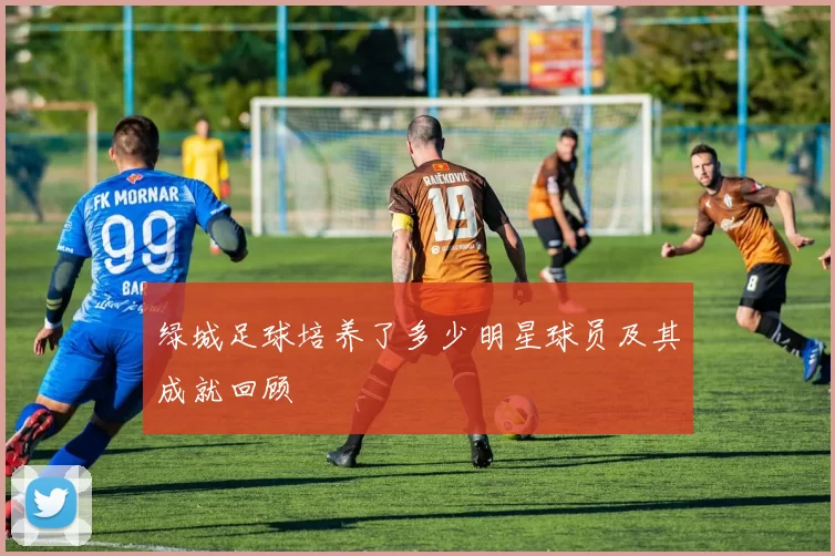 绿城足球培养了多少明星球员及其成就回顾