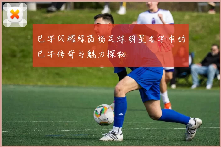 巴字闪耀绿茵场足球明星名字中的巴字传奇与魅力探秘